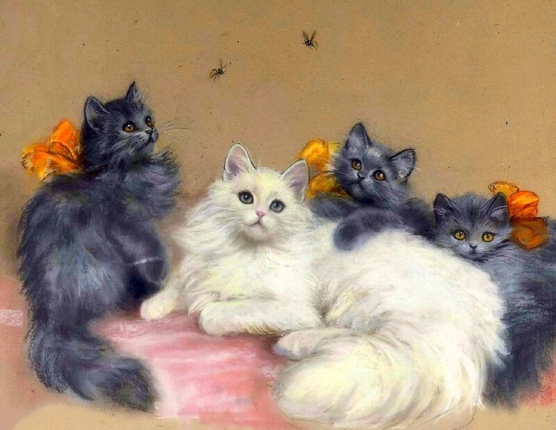 Fluffy Cats with Bows