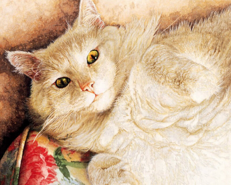 Fluffy Cream Cat — Calm, Painting