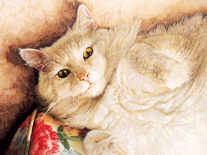 Fluffy Cream Cat