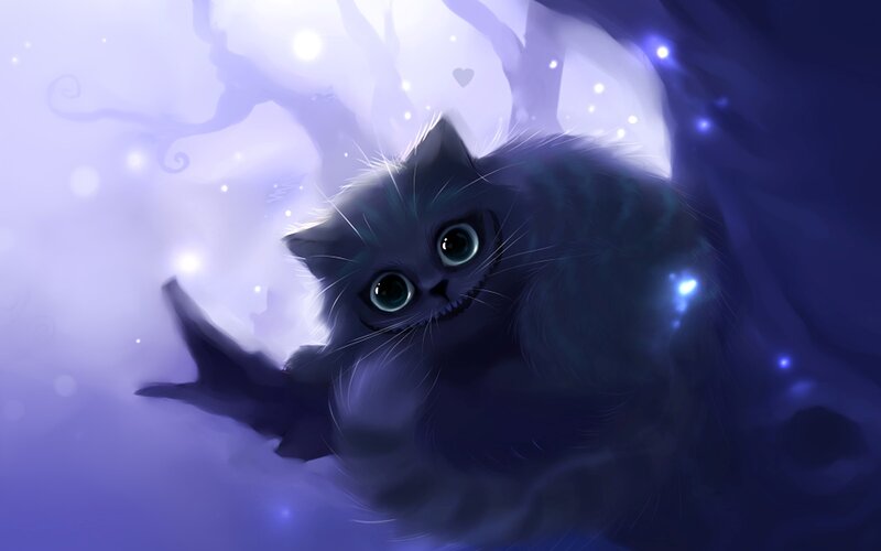 Fluffy Dark Cat