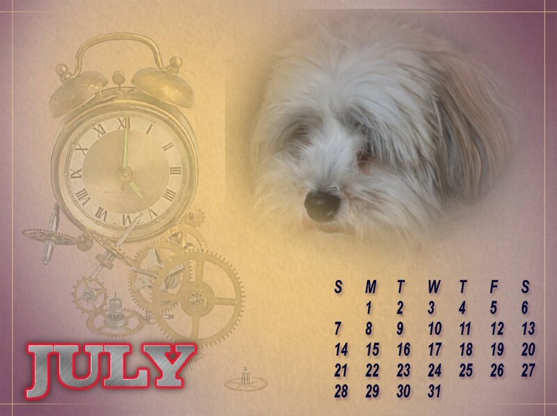 Fluffy Dog with Clock