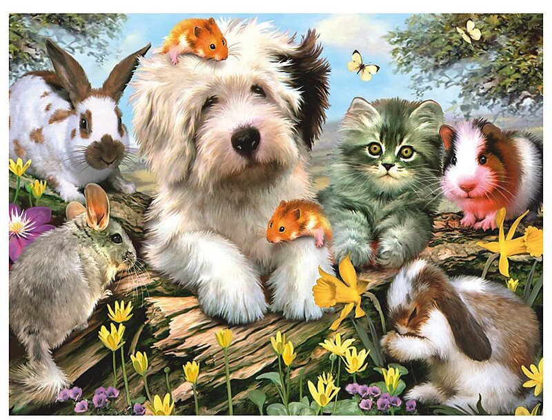 Fluffy Dog with Pets