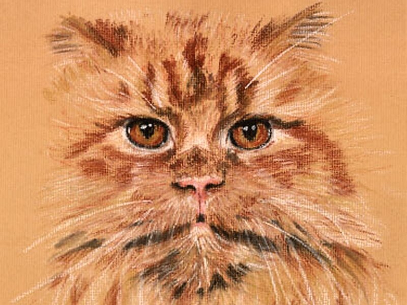 Fluffy Ginger Cat — Brown, Calm, Painting