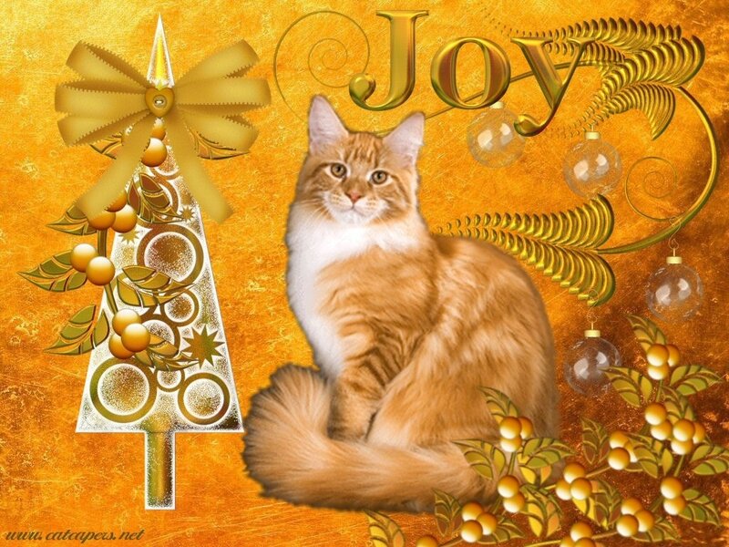 Fluffy Ginger Cat — Gold