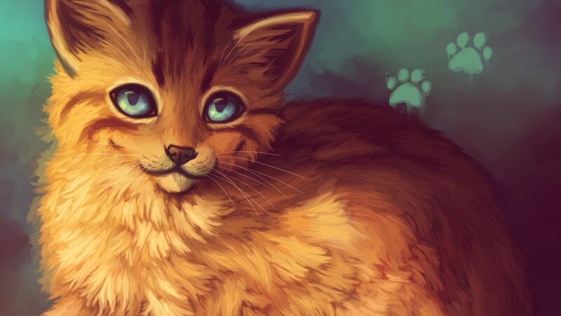 Fluffy Ginger Kitten — Orange, Calm, Digital Art, Paw Prints