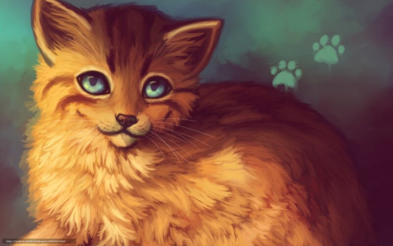Fluffy Ginger Kitten — Orange, Calm, Night