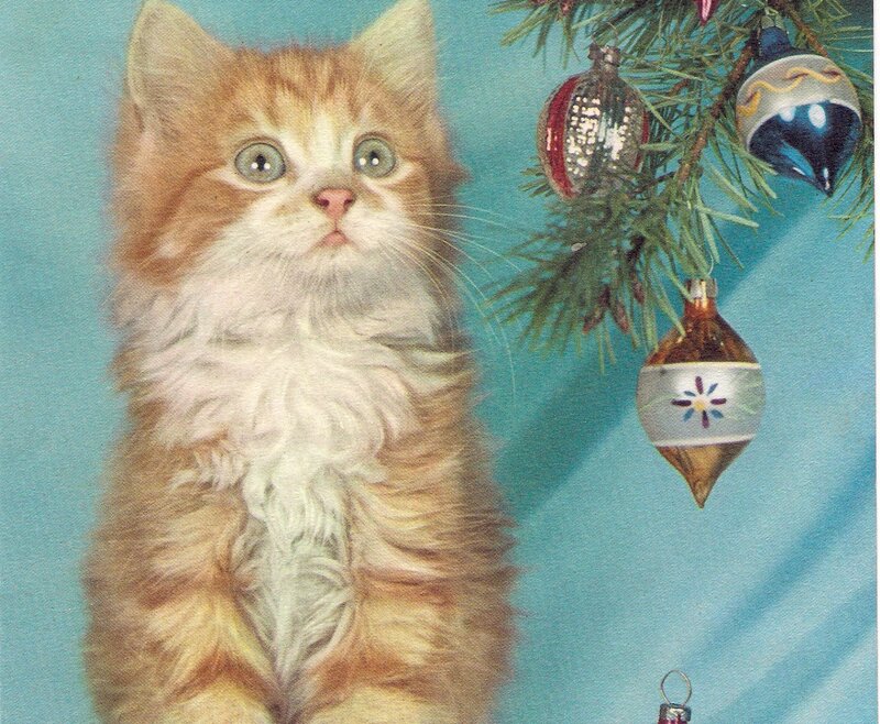 Fluffy Ginger Kitten — Orange, Festive