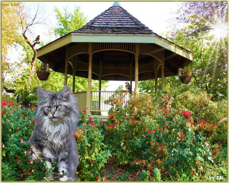 Fluffy Gray Cat — Green