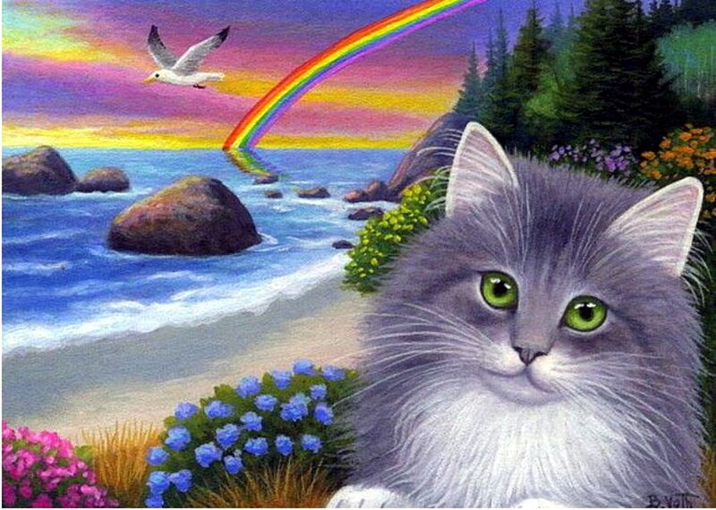 Fluffy Gray Cat — Serene, Sunset