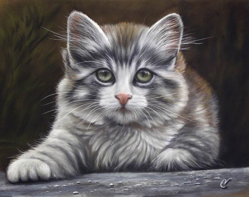 Fluffy Kitten — Gray