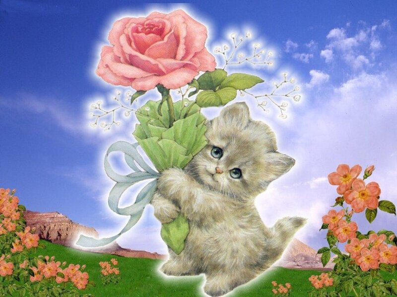 Fluffy Kitten Holding Rose