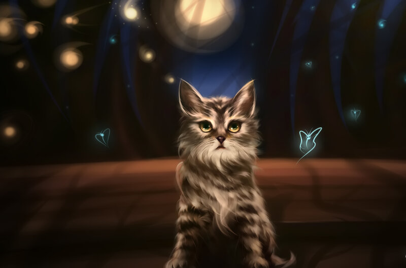 Fluffy Kitten in Forest