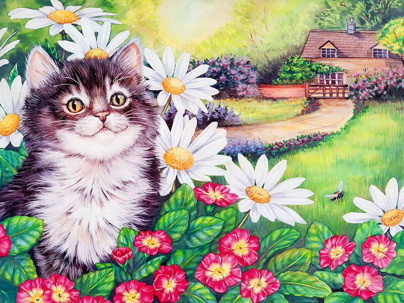 Fluffy Kitten in Garden — Green
