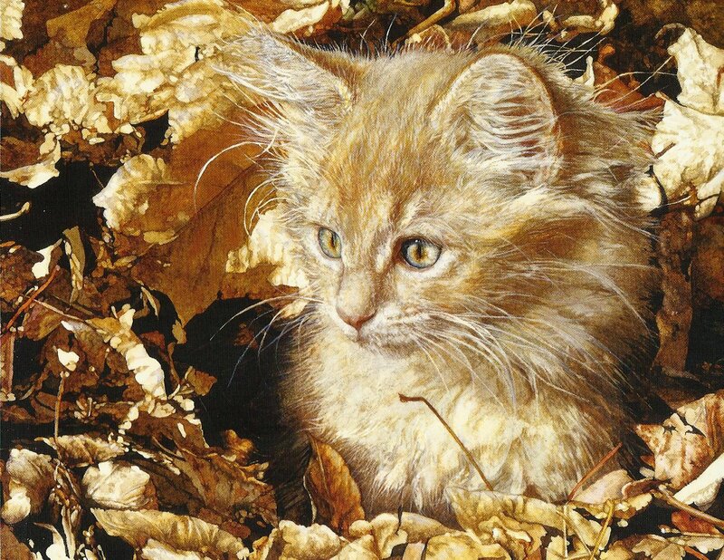 Fluffy Kitten in Leaves — Brown