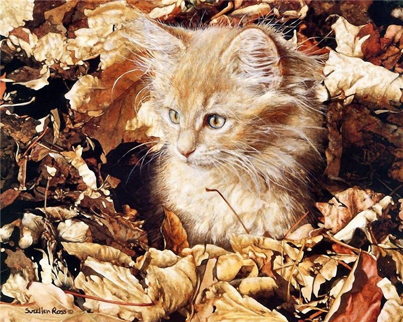 Fluffy Kitten in Leaves