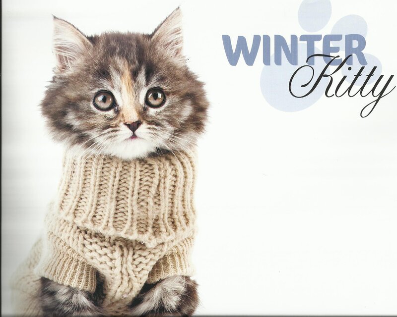 Fluffy Kitten in Sweater