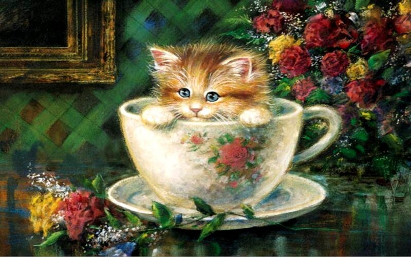 Fluffy Kitten in Teacup