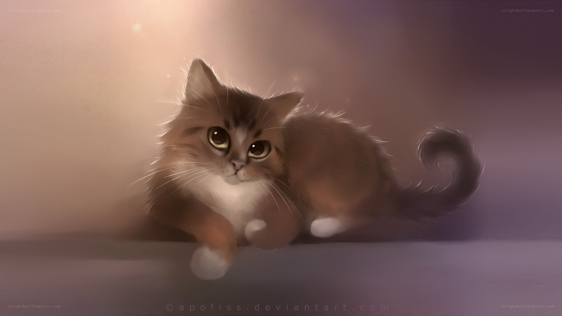 fluffy kitten in warm light