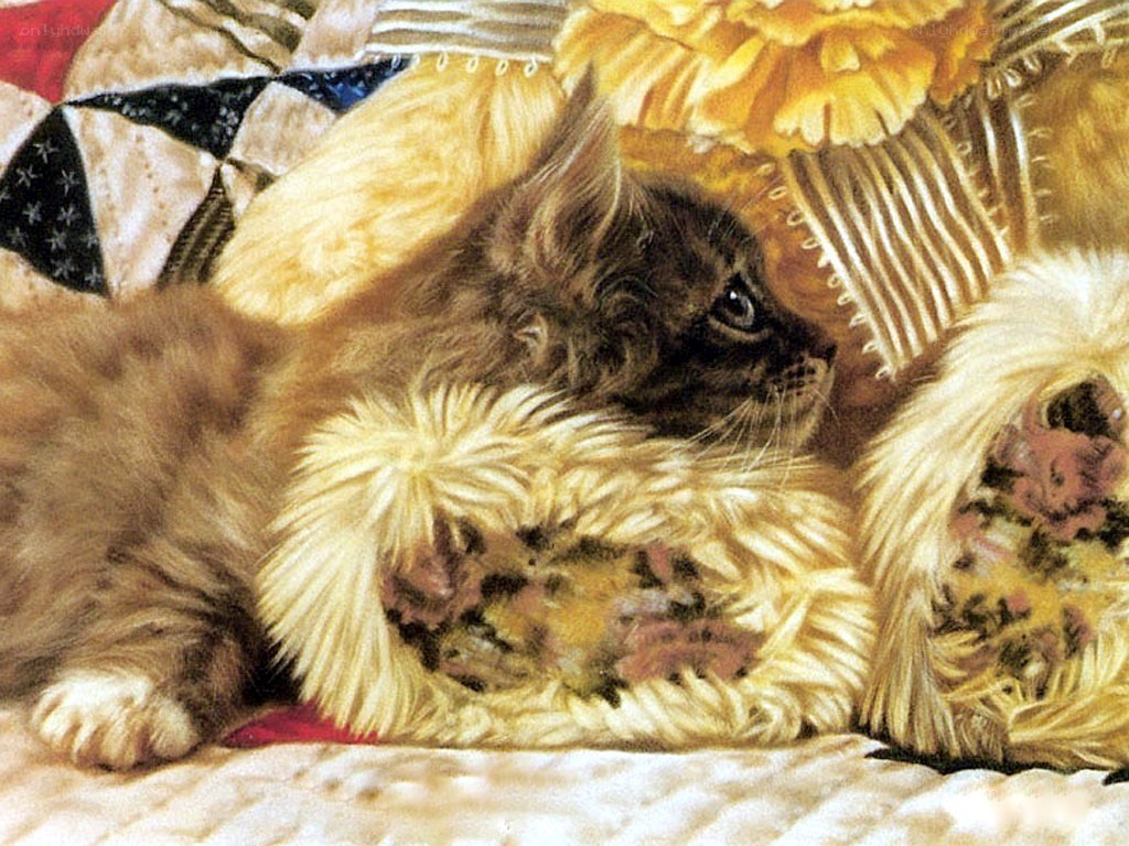 fluffy kitten on quilt