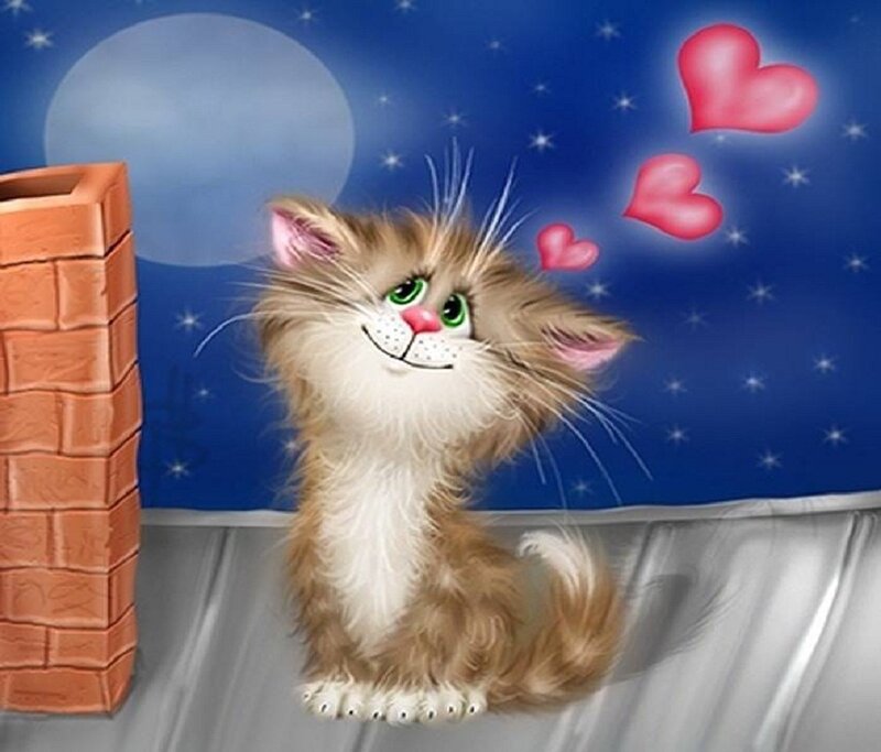 Fluffy Kitten on Roof