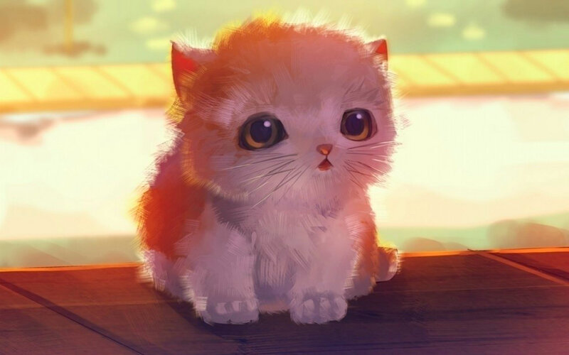 Fluffy Kitten Sitting — White, Calm