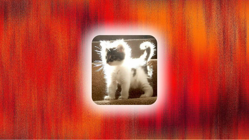 Fluffy Kitten Standing — Red