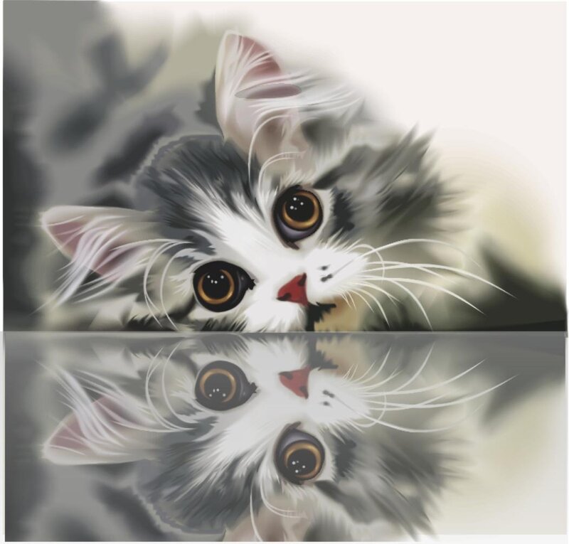 Fluffy Kitten with Big Eyes — White