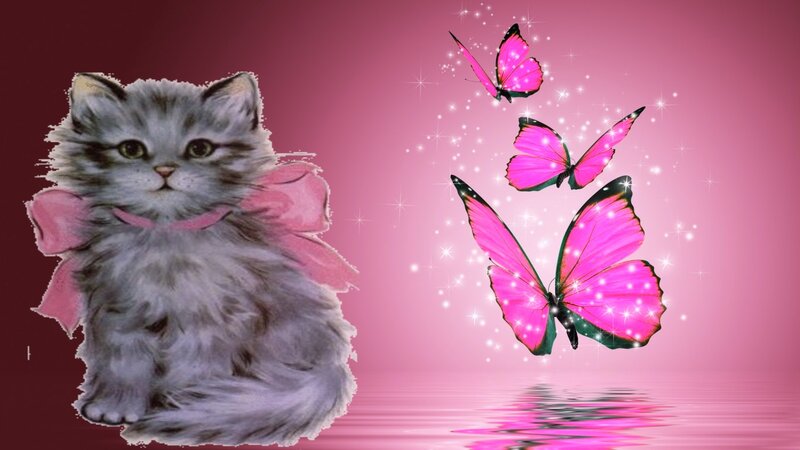 Fluffy Kitten with Bow — Pink