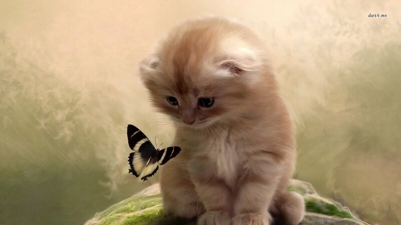 Fluffy Kitten with Butterfly — Beige, Serene