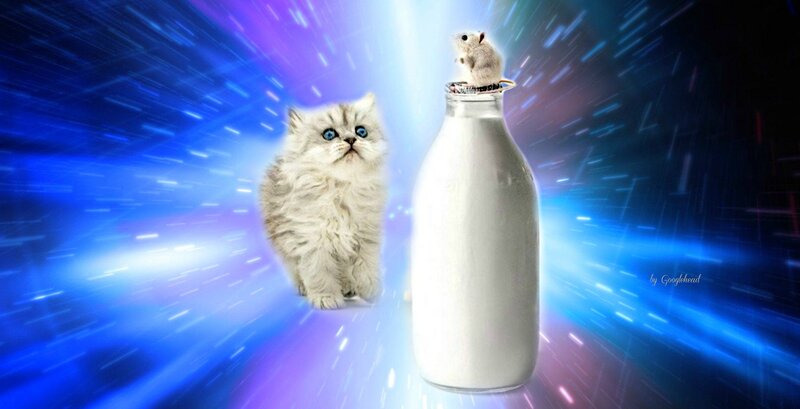 Fluffy Kitten with Milk Bottle