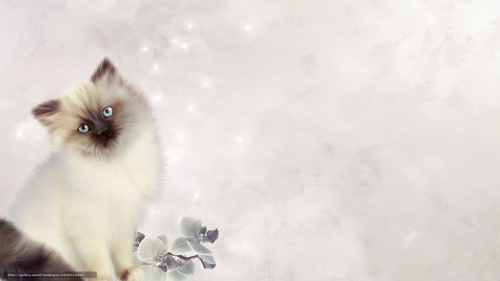 fluffy kitten with orchid
