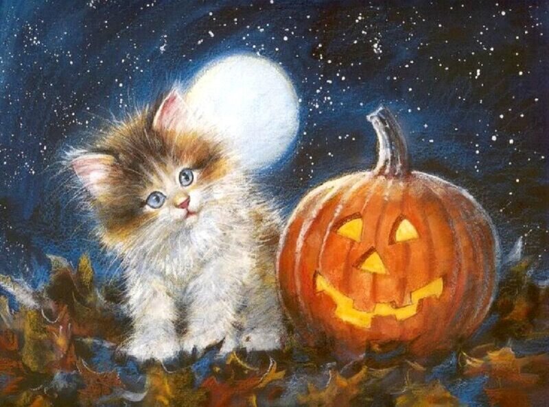Fluffy Kitten with Pumpkin