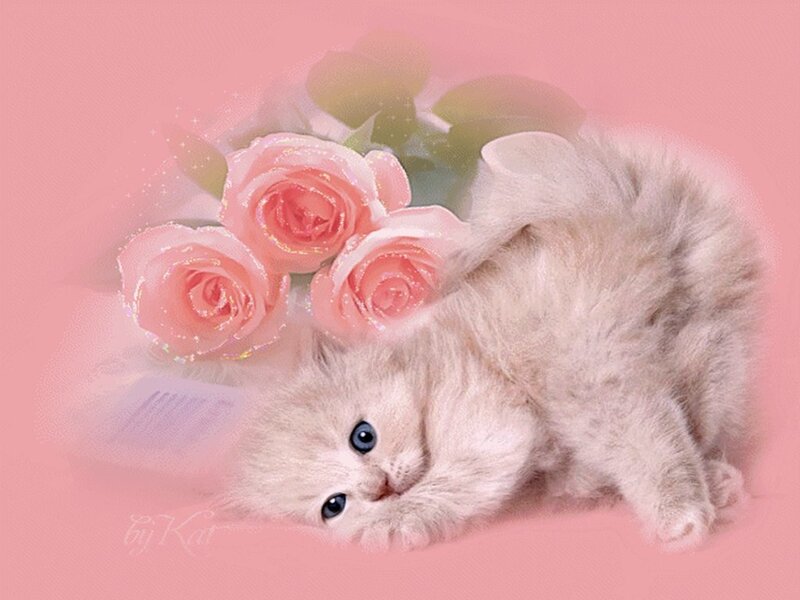 Fluffy Kitten with Roses