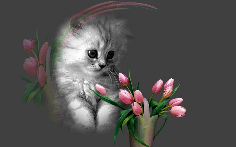 Fluffy Kitten with Tulips