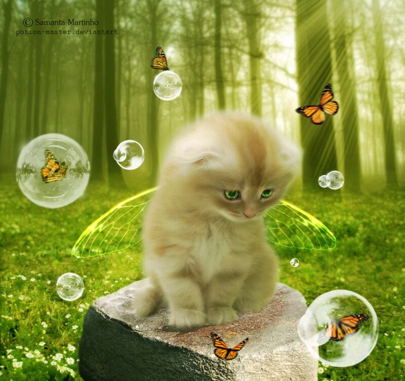 Fluffy Kitten with Wings — Green, Serene