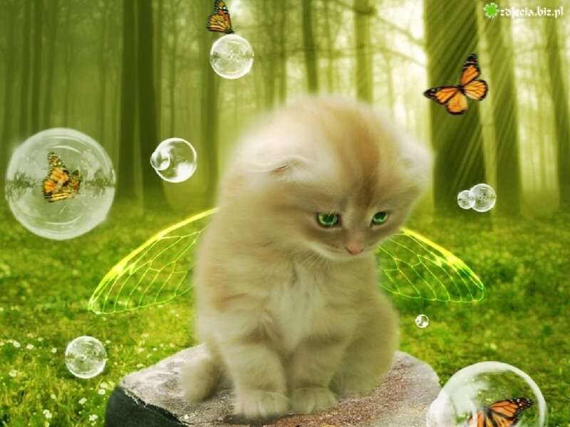 Fluffy Kitten with Wings — Green