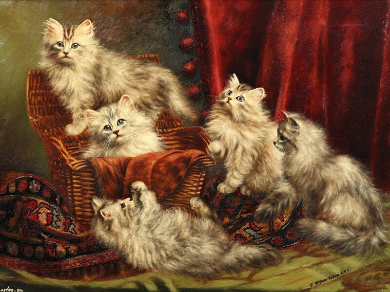 Fluffy Kittens in Basket