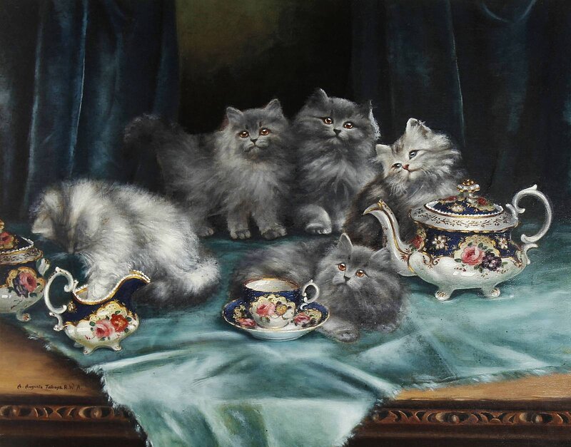 Fluffy Kittens on Table