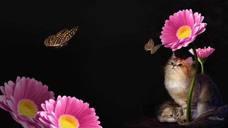 Fluffy Kittens with Flowers