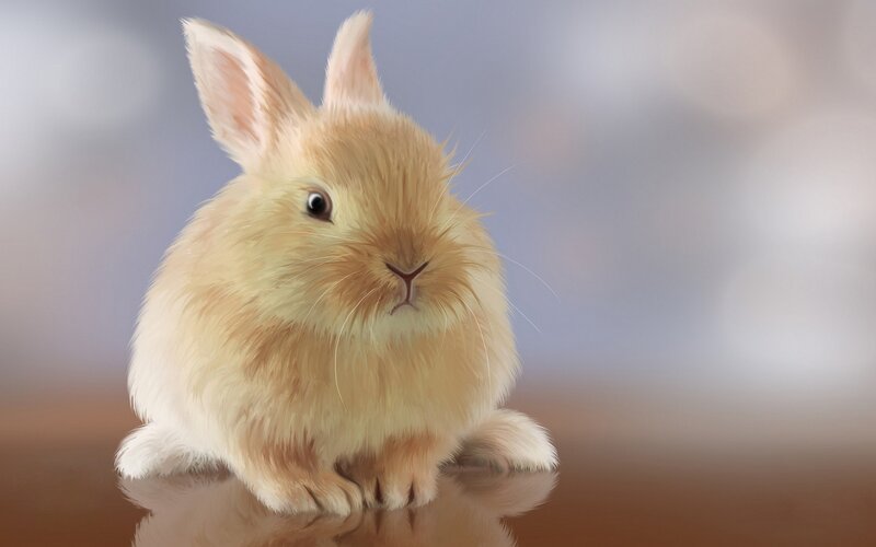 Fluffy Light-brown Rabbit — Beige