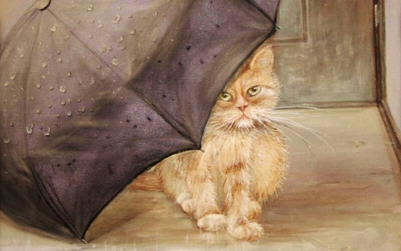 Fluffy Orange Cat — Brown, Melancholic