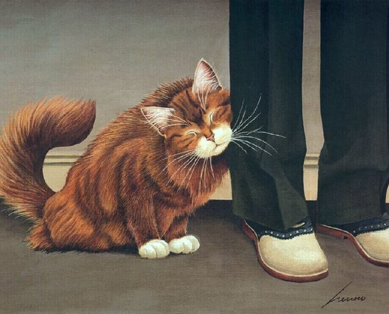 Fluffy Orange Cat — Brown