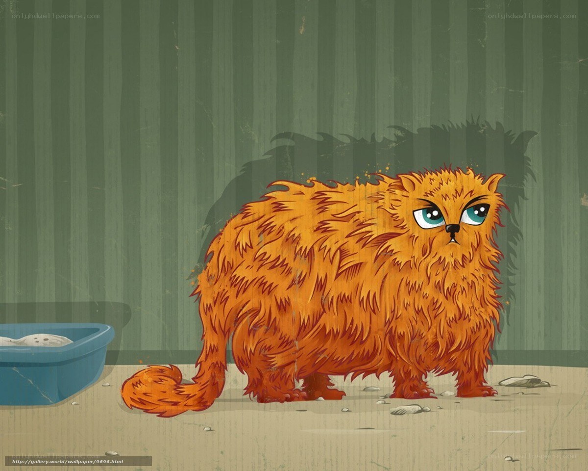 fluffy orange cat illustration