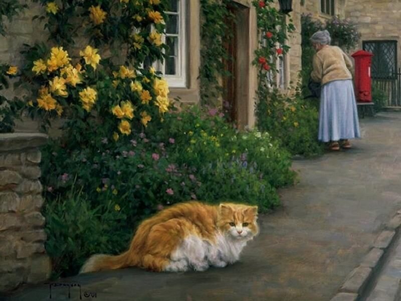 Fluffy Orange Cat — Serene, Afternoon