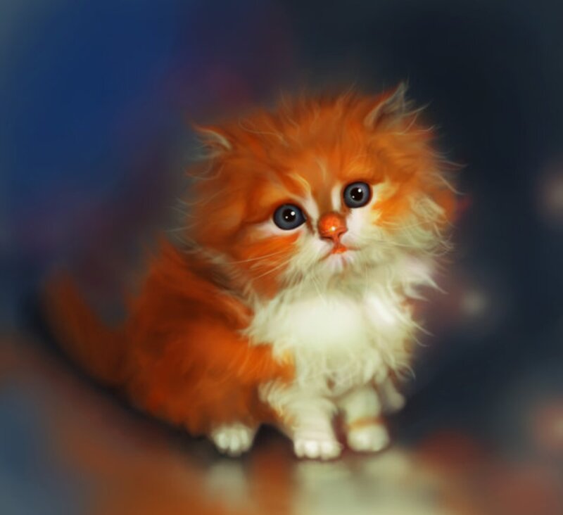 Fluffy Orange Kitten — Innocent, Digital Art