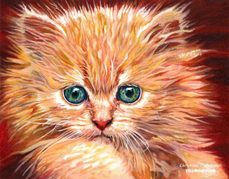 Fluffy Orange Kitten — Intense