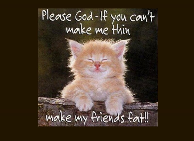 Fluffy Orange Kitten — Peaceful