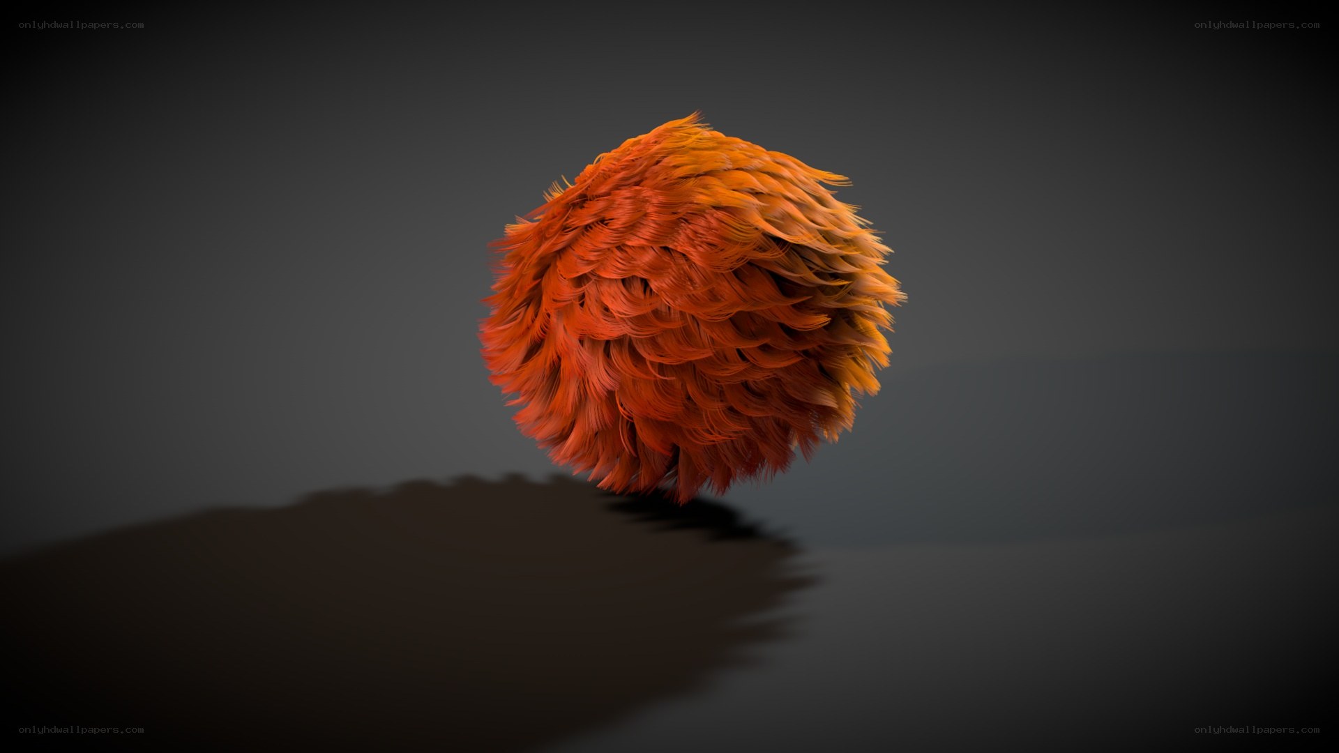 fluffy orange sphere