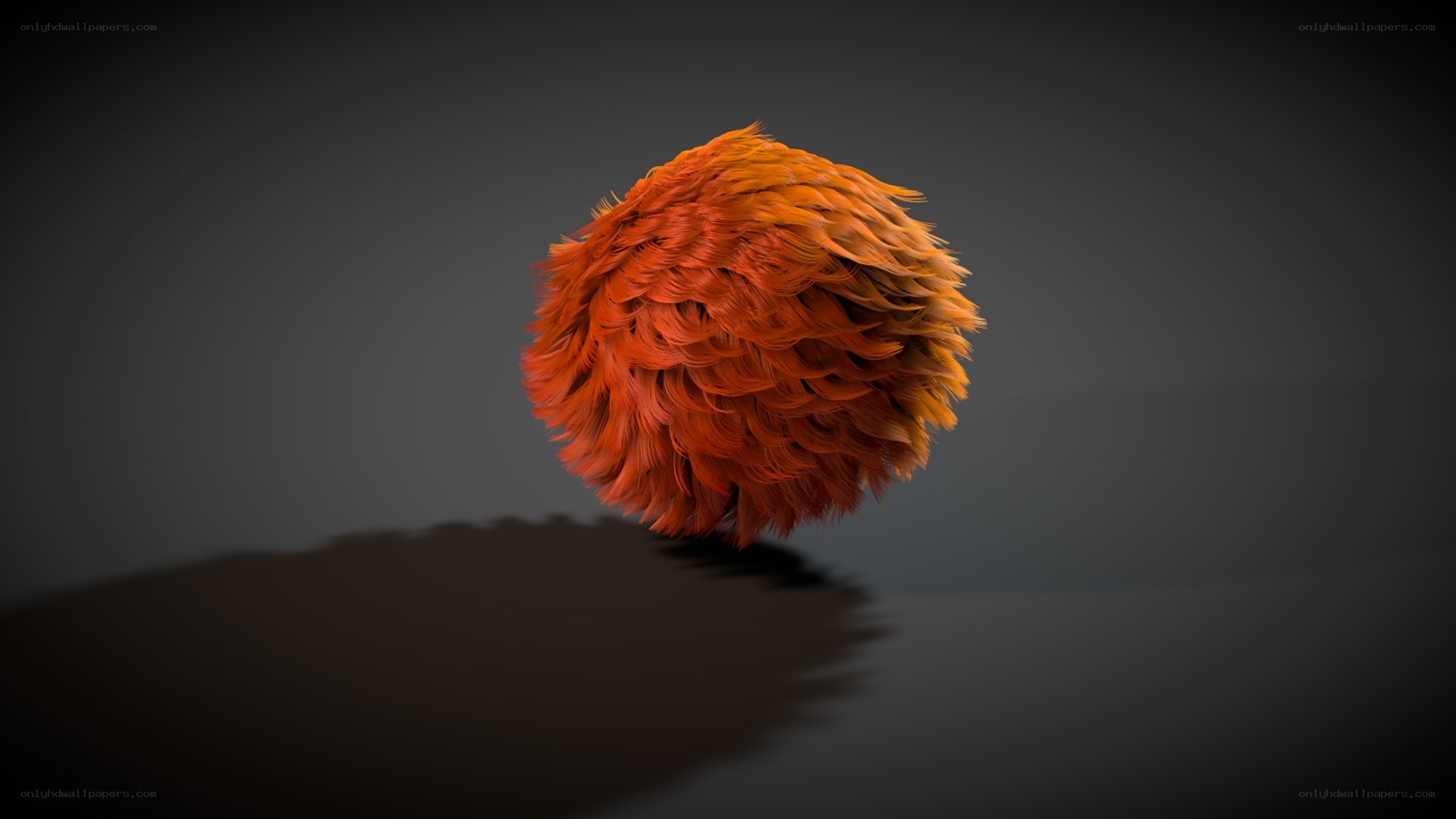 fluffy orange sphere