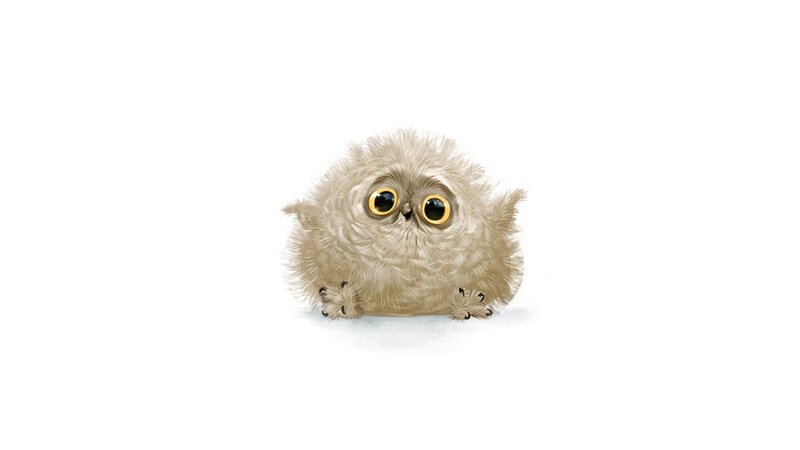 Fluffy Owl Chick
